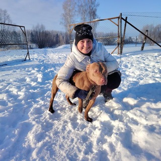 pimenova_dog Благотворительный фонд "Островок души"