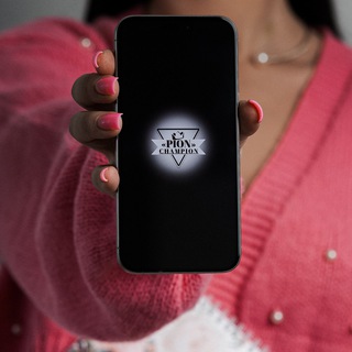 PION глазами и мыслями организатора проекта