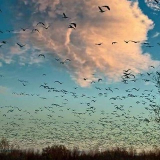 ♚࿆꙲̲̲̲̲̲̲̲̲̲̲̲̲̲̲̲̲͢🇶͜͡꙰ᎪᎠᏆᎡ͜͡🇩꙰ᎾNᏞᎪᎡᏆ͜͡🇲꙰♚࿆꙲̲̲̲̲̲̲̲̲̲̲̲̲̲̲̲̲̲͢