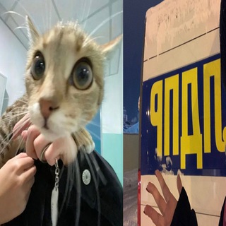 писькина поляна