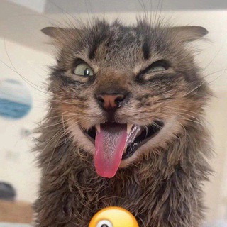 ганкун переезд