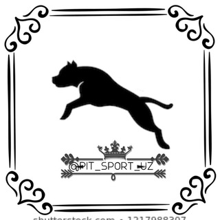 • 🅟🅘🅣 🅢🅟🅞🅡🅣 •💣