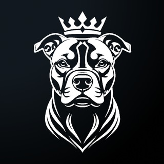 Pitbull Agency / Маркетинговое агентство