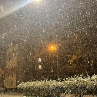 Твой Петербург