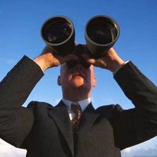 Петербургский наблюдатель чат