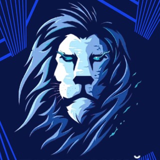 ВК Зенит | Zenit fans | Питерский прайд