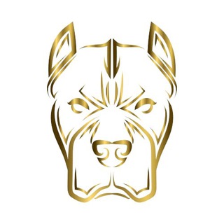 Pitbull Finance Official