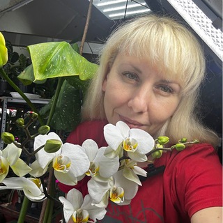 Мой маленький питомник «Весна»