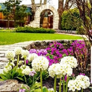 Питомник 22. Садовый центр ГринЛандия