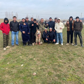 Питомник_аждар🐺