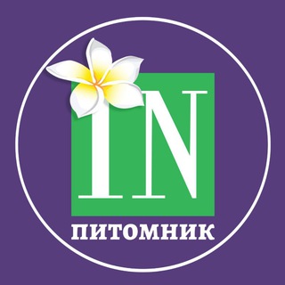 INSIGHT: питомник декоративных растений 🪴