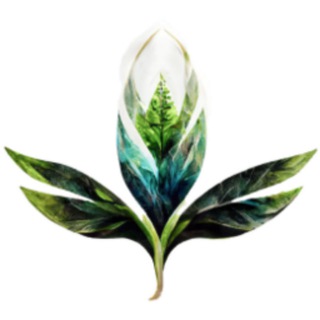 Питомник декоративных растений «АнгелСад»