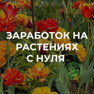 Заработок на растениях с нуля