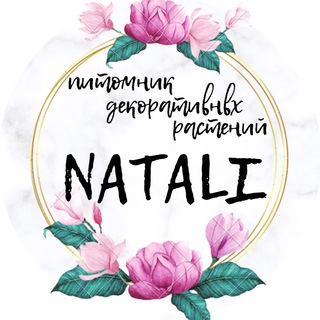 NATALI - питомник декоративных растений