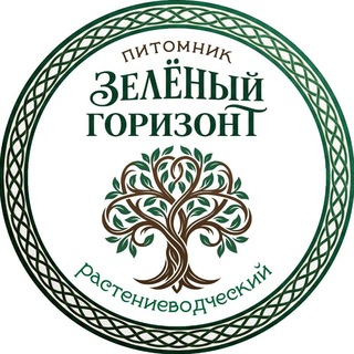 Саженцы Гортензии🌸 Хвойные, декоративные кустарники (Питомник Зелёный Горизонт)