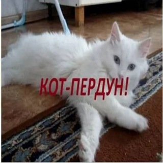 Пиво жизнь красива official