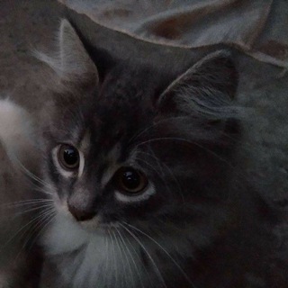 𝐲𝐨𝐮.𝐲𝐨𝐮