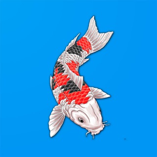 Рыбные места. Карта рыбака