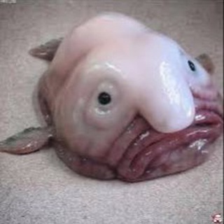 Для нытья по-рачьи