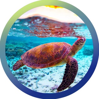 Интересная Планета — путешествия и новости туризма