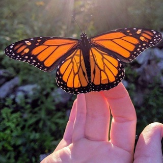 ПЛАНЕТА СЧАСТЬЯ 💖