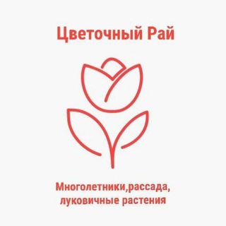 "Цветочный Рай, группа розницы"