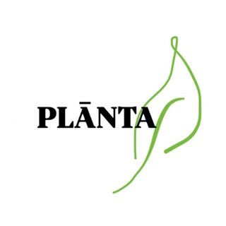 plānta / plânta / планта