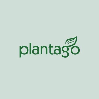 Plantago | Cекретный канал