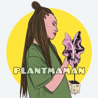 плантмаман 🧌