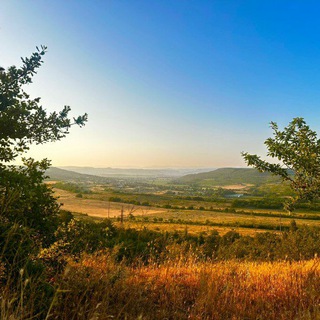 Виноделы Плато Ароматное