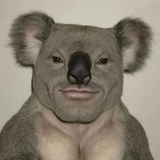 каморка плейбозера