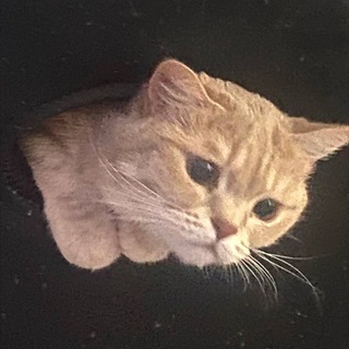 пожалуйстаненадо