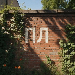 Плёнка от кино 🎞 (official)