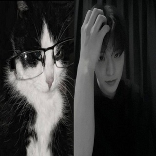 ПЕРЕХОДНИК>> @ploppi01