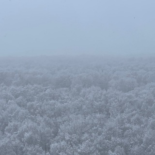Раушенберг в слезах