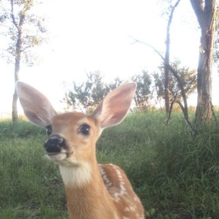 не удалось сохранить