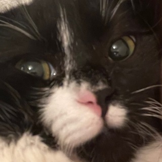 фан клуб Плюшечки