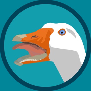 Блудни старого ПМ-а из страны-бензоколонки