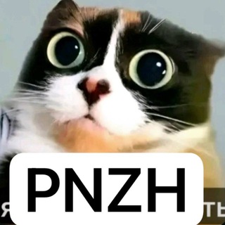 PNZH