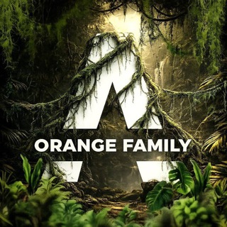 Педагогический отряд «Апельсин»