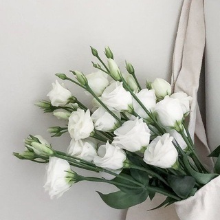 The Sergeenkov family 👩‍❤️‍👨