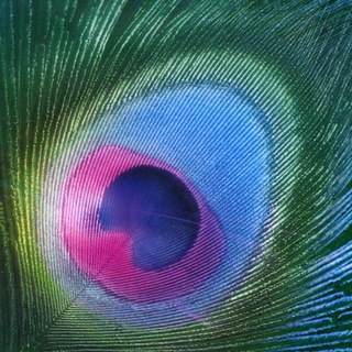 Карманный песенник (Гаудия Гитанджали)