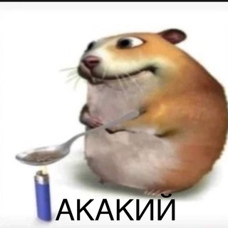 Под прикрытием