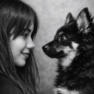 Подай другу лапу