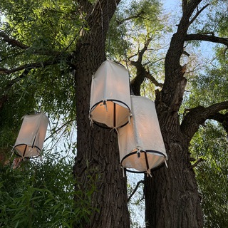 Под кроной ивы