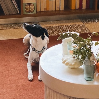 ПОДПЁСНЫЕ издания 🖤