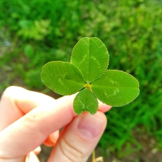 Подсказки метафорических карт