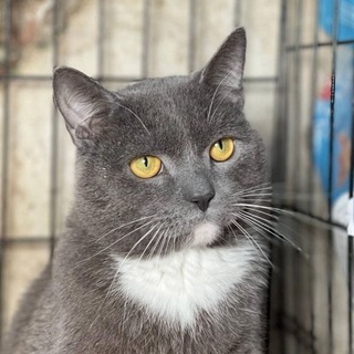 Подсказки Бога 🕊