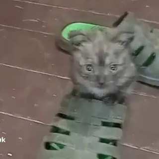 клуб сочных татарок