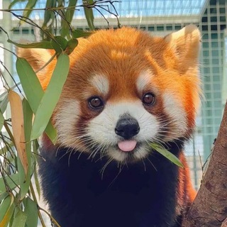 Бухта Дезикса 🎰